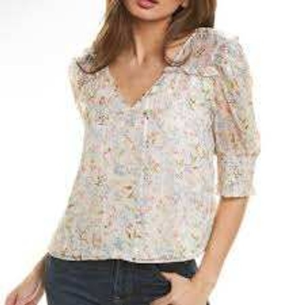 Walter Baker‎ Floral Ruffle V-Neck Blouse Metallic Stripe Puff Sleeve Small